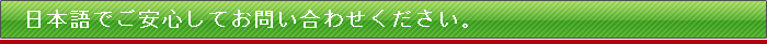 SE{̖|AʖT[rX̂₢